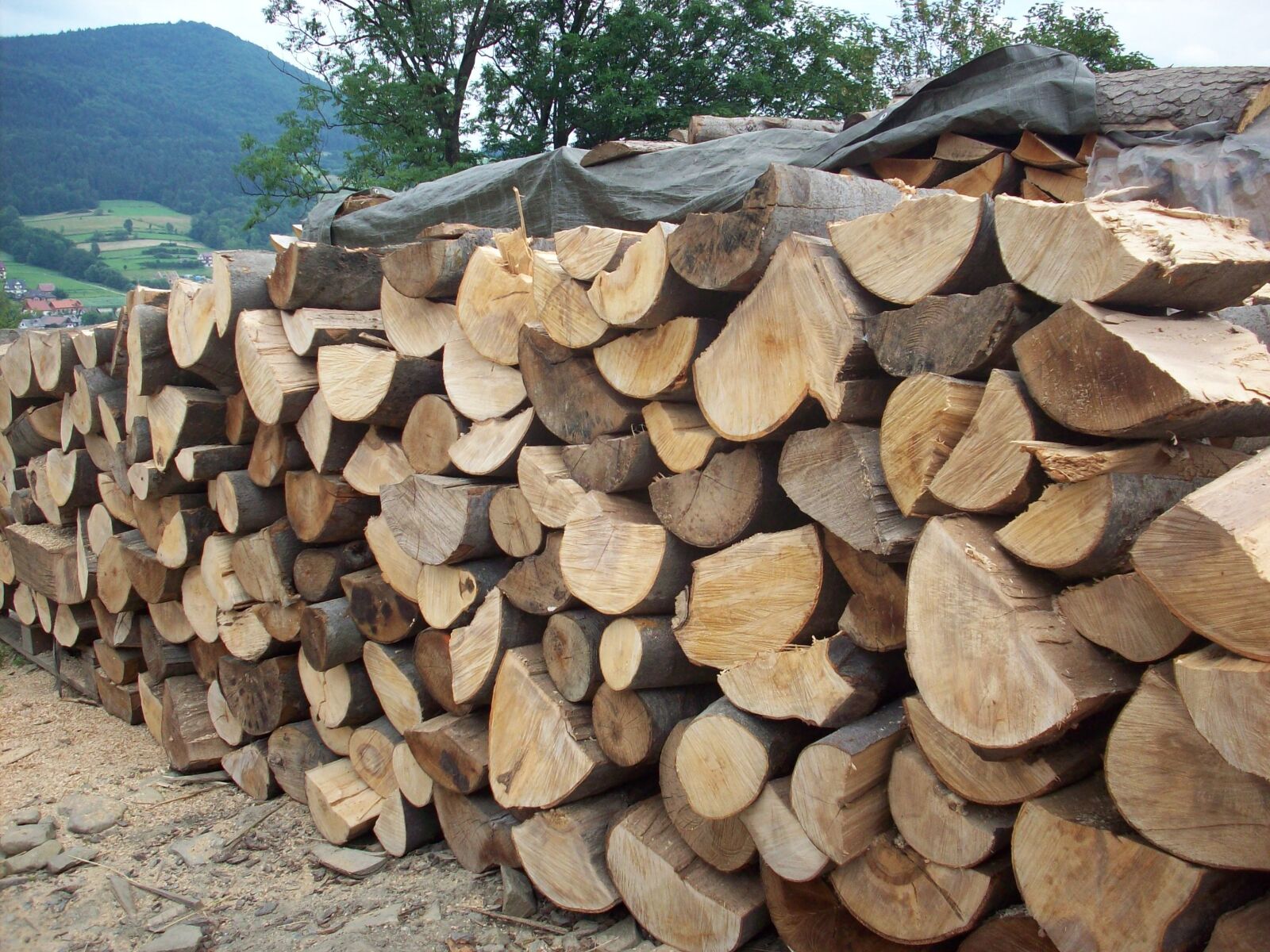 Kodak EASYSHARE M753 ZOOM DIGITAL CAMERA sample photo. Wood, logs, sawmill photography