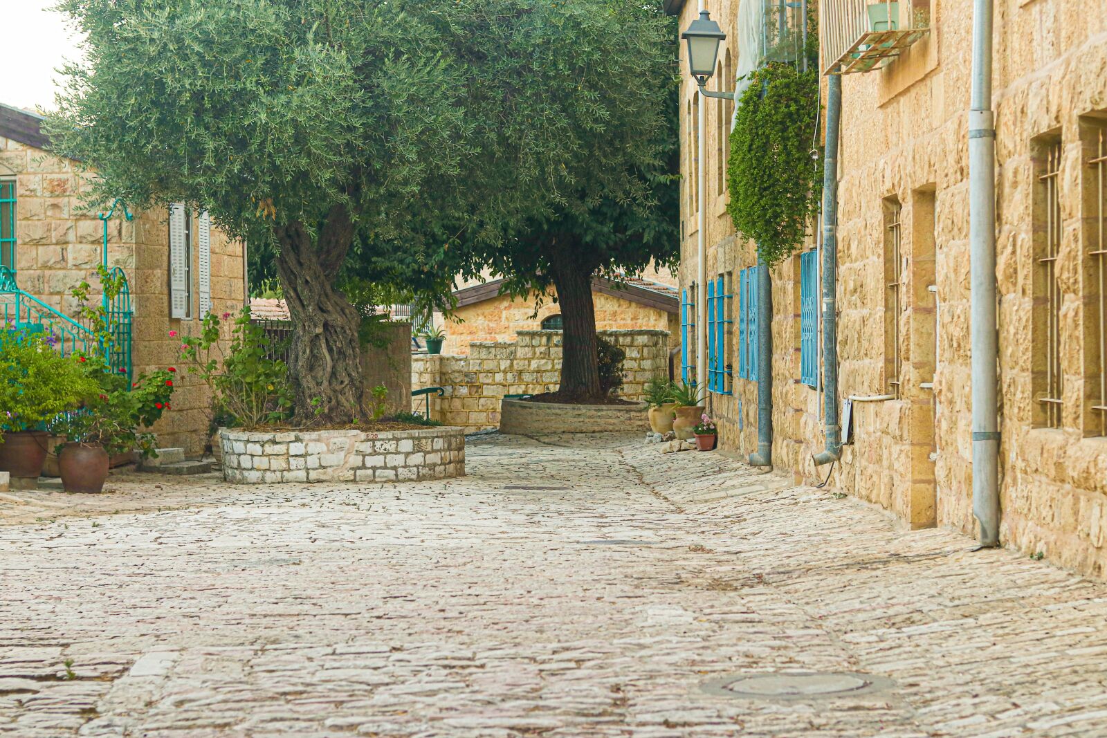 Canon EOS 80D + Canon EF 50mm F1.8 STM sample photo. Jerusalem, alley, yemin moshe photography