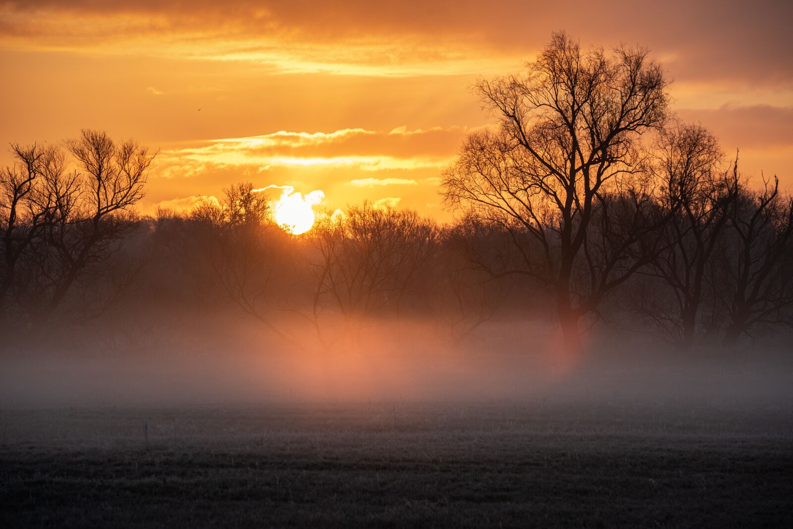 Nikon D750 sample photo. Sunrise, fog, landscape photography