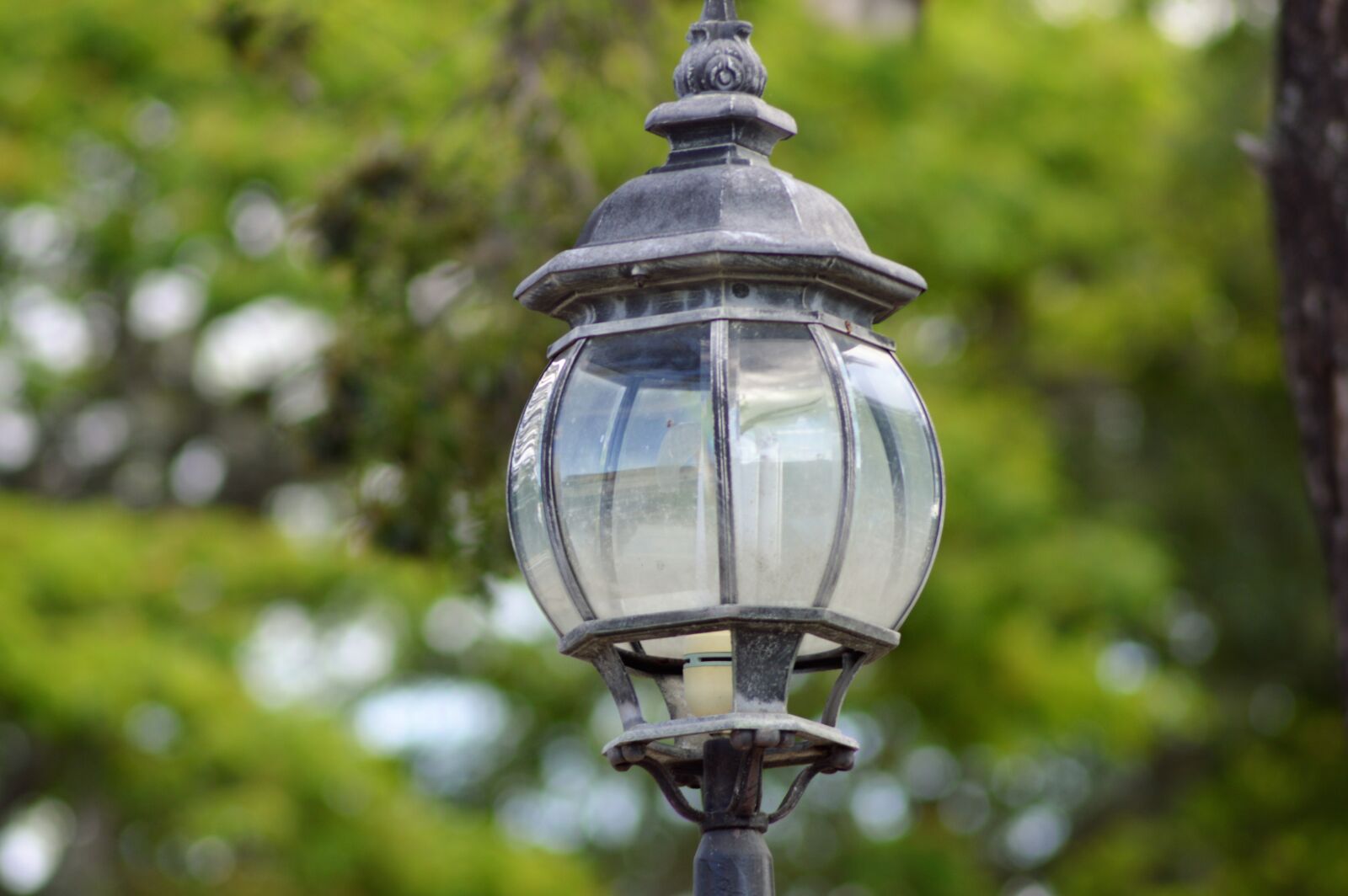 Nikon D3200 sample photo. Outdoors, incandescent lamp, nature photography