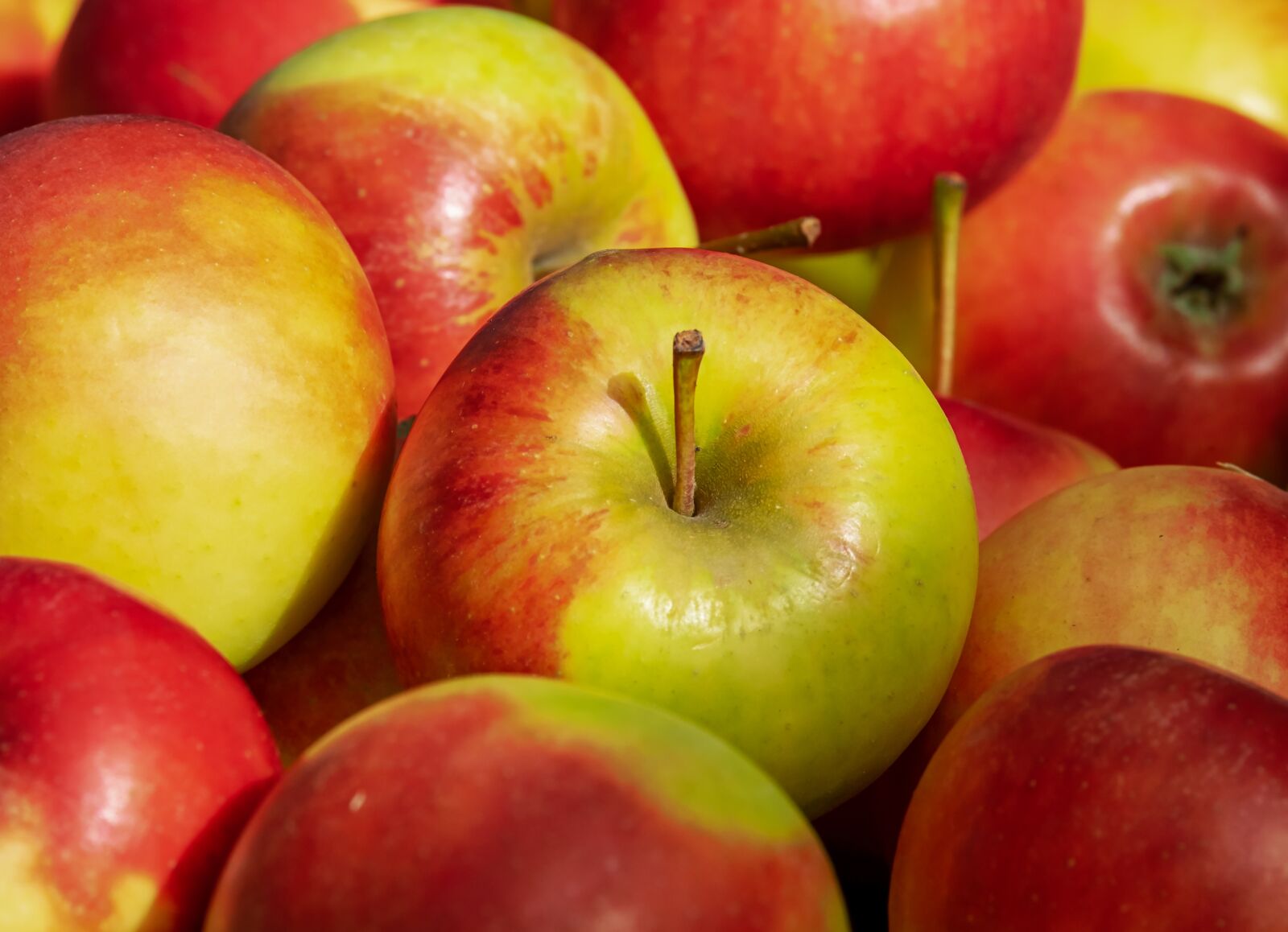 Fujifilm XF 55-200mm F3.5-4.8 R LM OIS sample photo. Apple, elstar, fruit photography