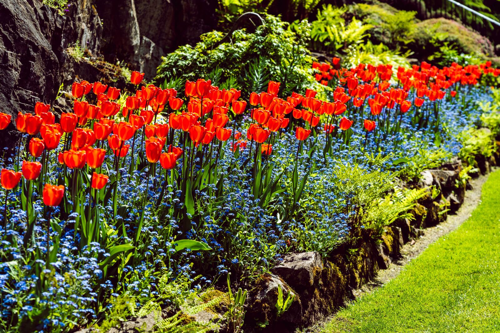 Nikon D750 sample photo. Butchart gardens, flowers, plants photography