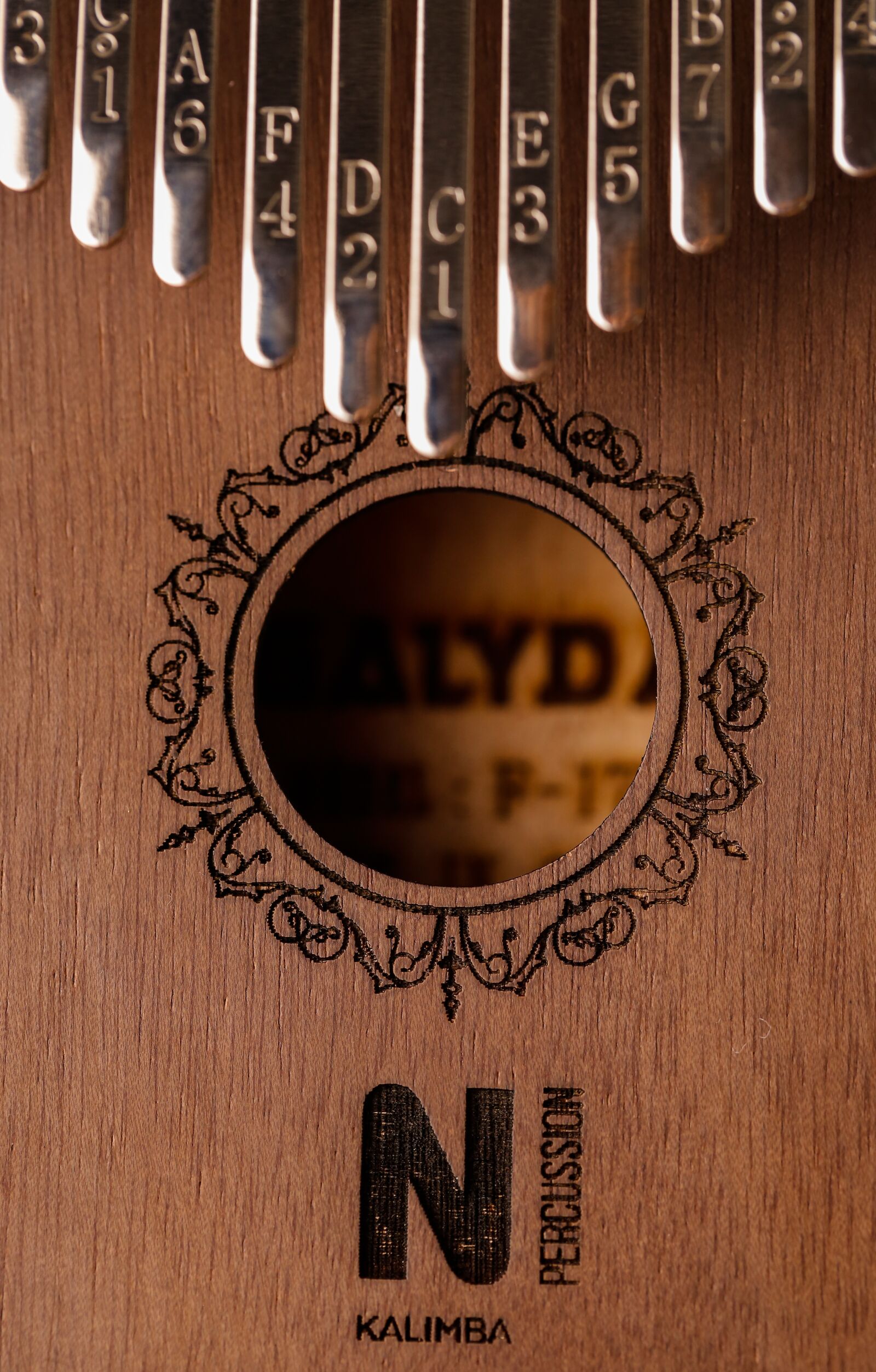 Canon EF 100mm F2.8L Macro IS USM sample photo. Musical instrument, music, artist photography