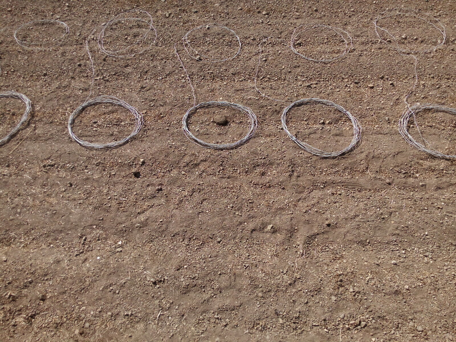 Micromax Canvas Spark sample photo. Circles photography