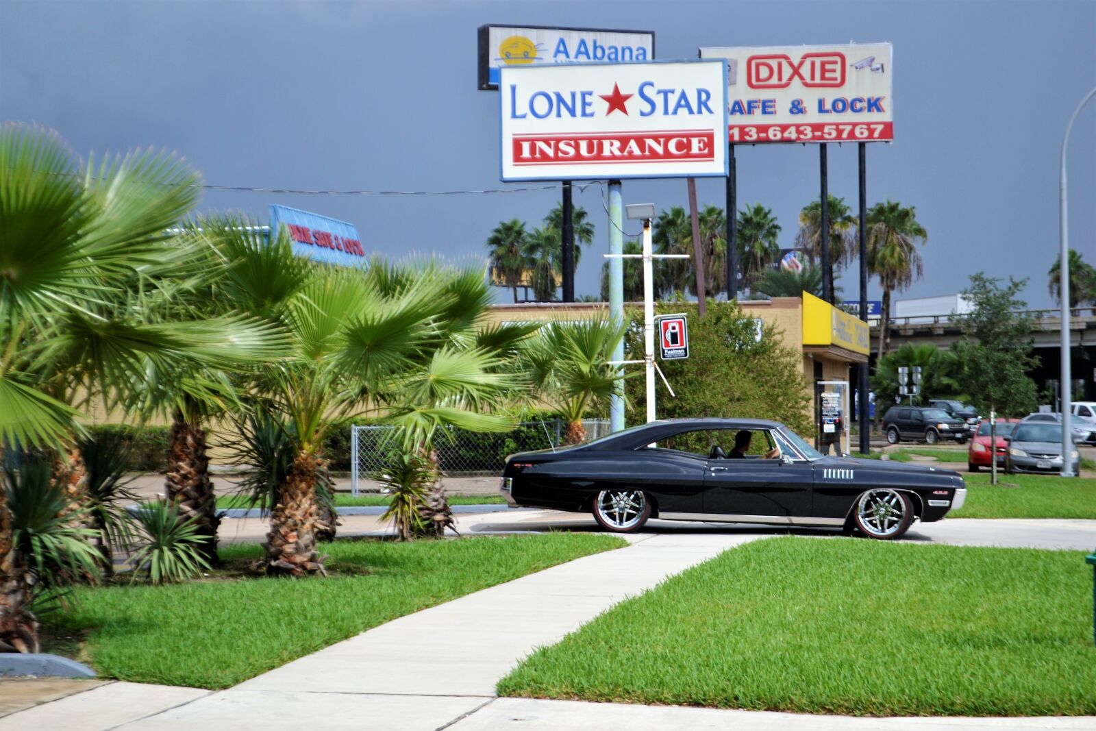 Nikon D3100 sample photo. Classic car and palm photography