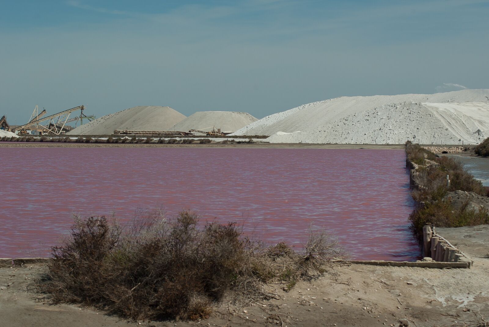 Tamron AF 70-300mm F4-5.6 Di LD Macro sample photo. France, camargue, acute dead photography