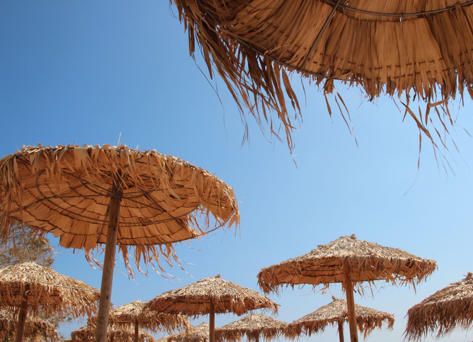 Canon EOS 600D (Rebel EOS T3i / EOS Kiss X5) sample photo. Parasol, greece, crete photography