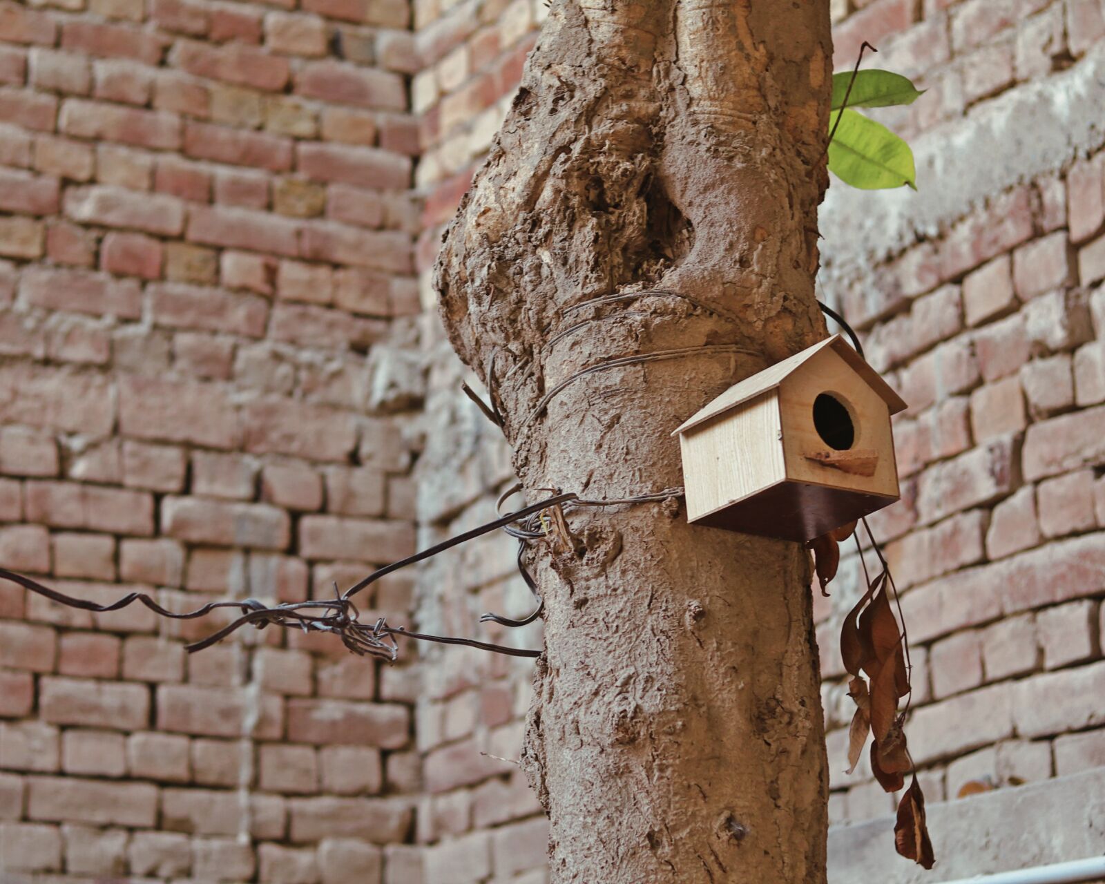Canon EOS 80D sample photo. Old, wall, architecture photography
