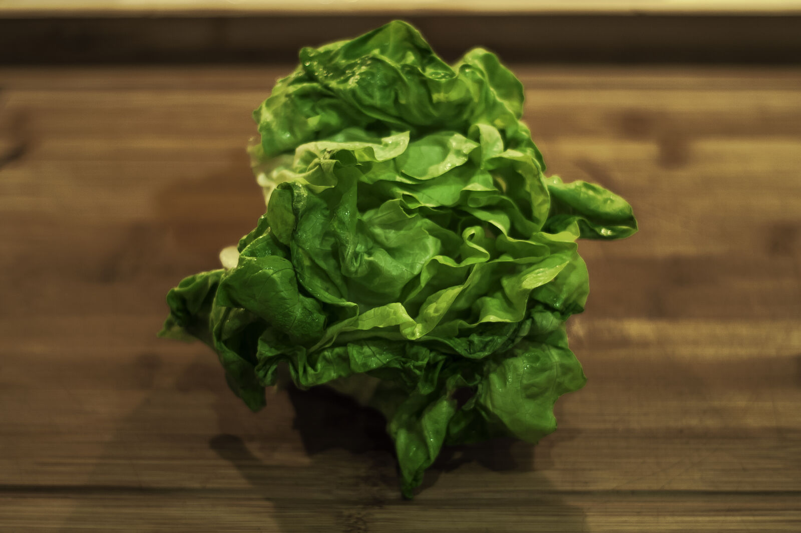 KONICA MINOLTA DYNAX 7D sample photo. Food, green, kitchen, leaf photography