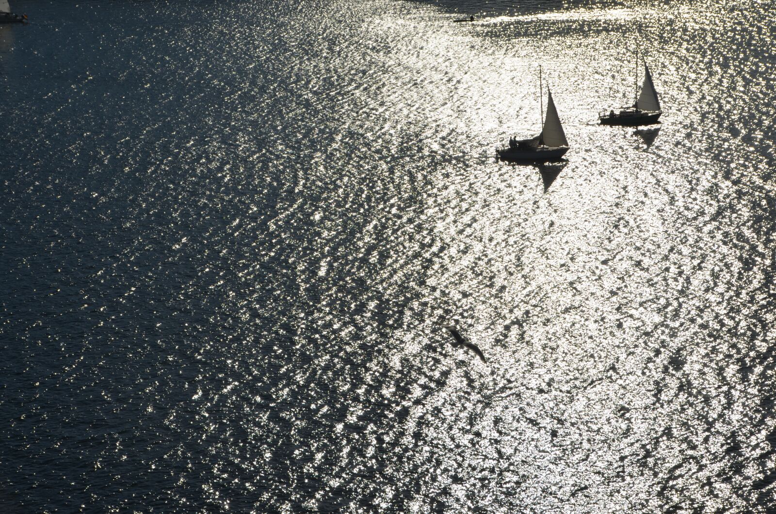 Nikon D5100 sample photo. Background, sail, ship photography