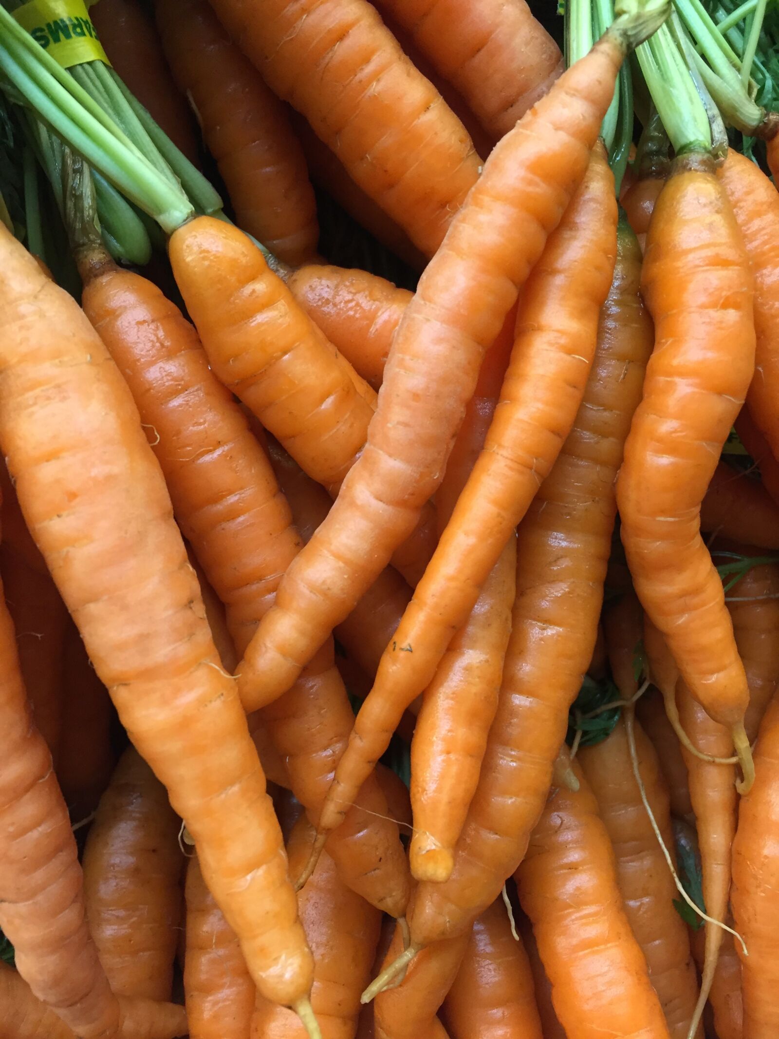 Apple iPhone 6 sample photo. Carrot, food, produce photography