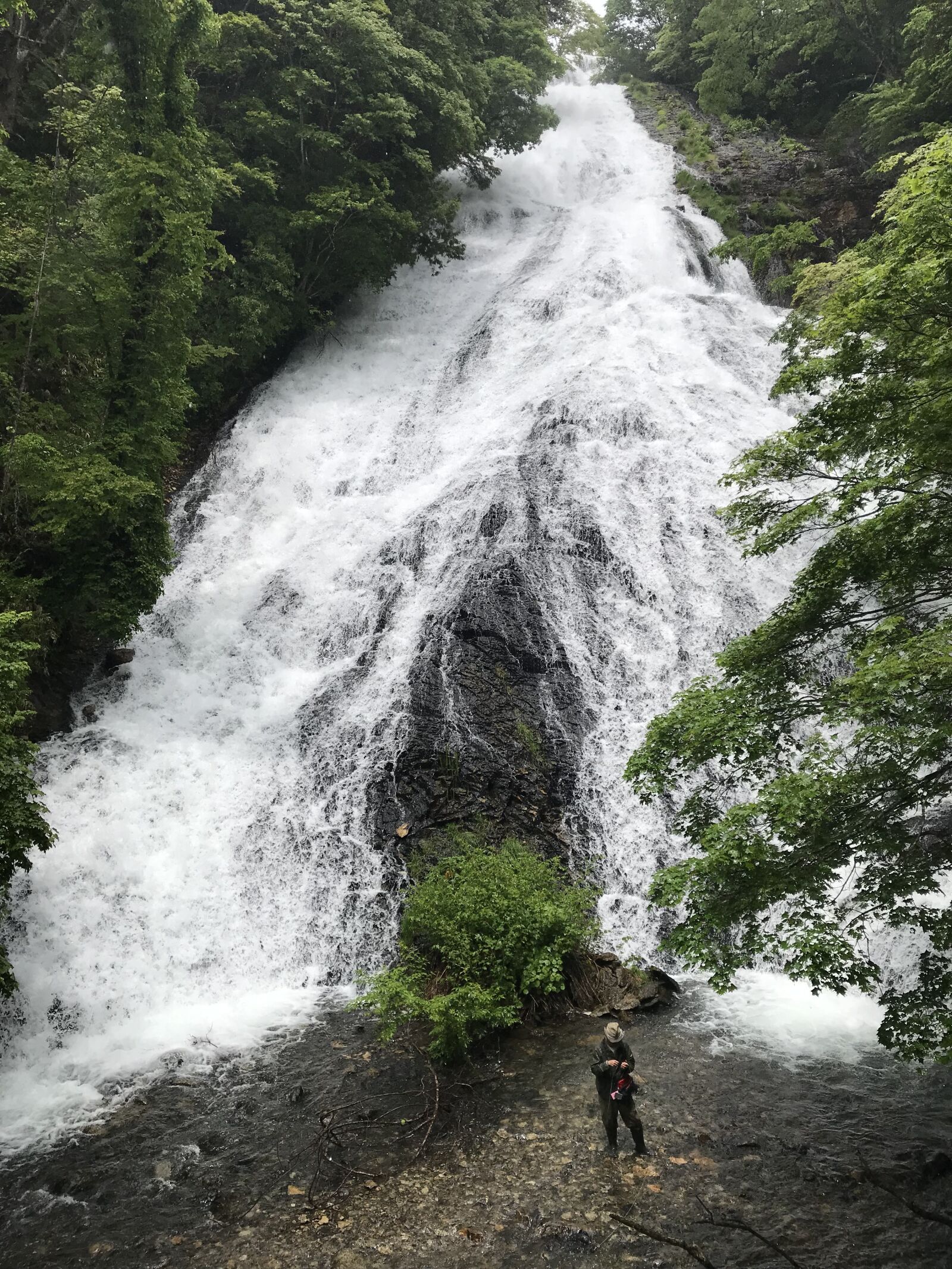 iPhone 7 Plus back dual camera 3.99mm f/1.8 sample photo. Waterfall, forest, trees photography