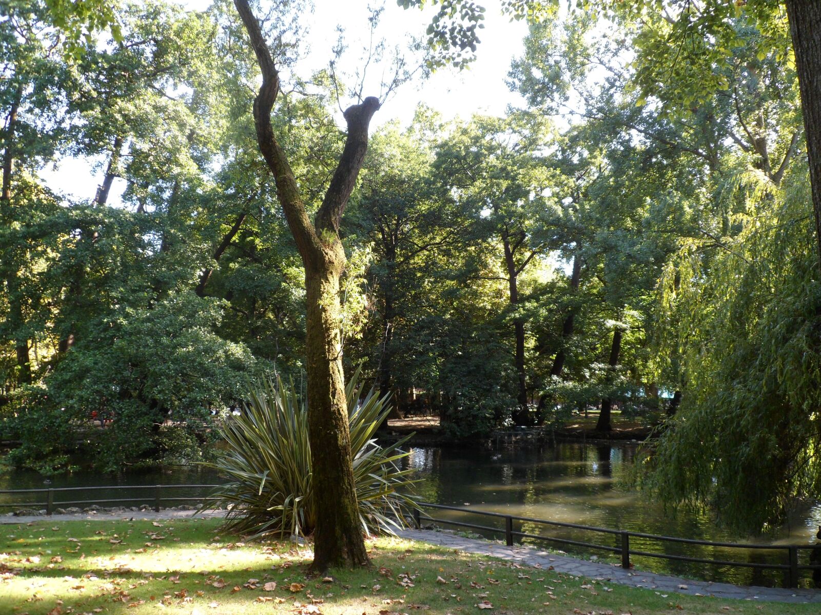 Samsung PL210, PL211 / VLUU PL210, PL211 sample photo. Park, summer, river photography