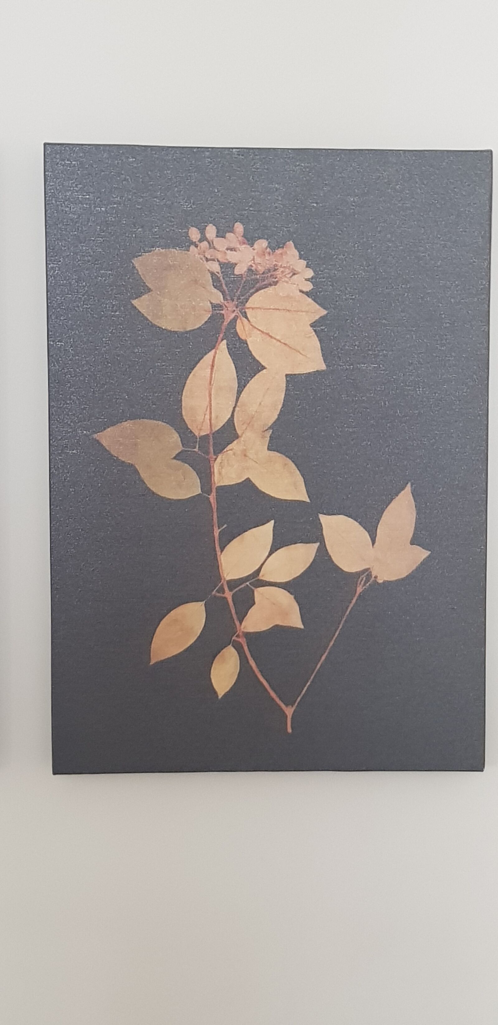 Samsung Galaxy S8 sample photo. Golden, leafs, black background photography