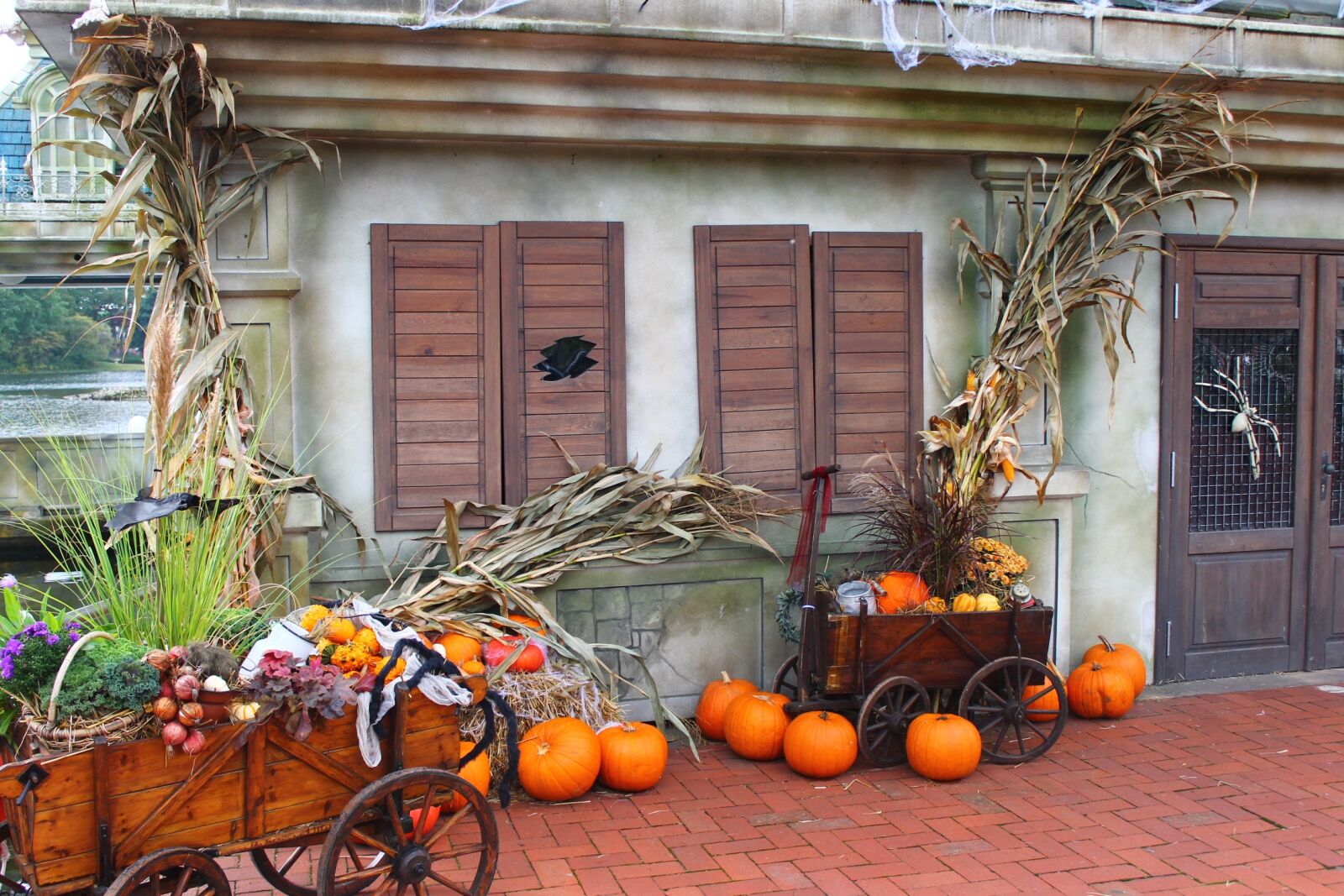 Canon EOS 1100D (EOS Rebel T3 / EOS Kiss X50) sample photo. Halloween, decoration, pumpkins photography