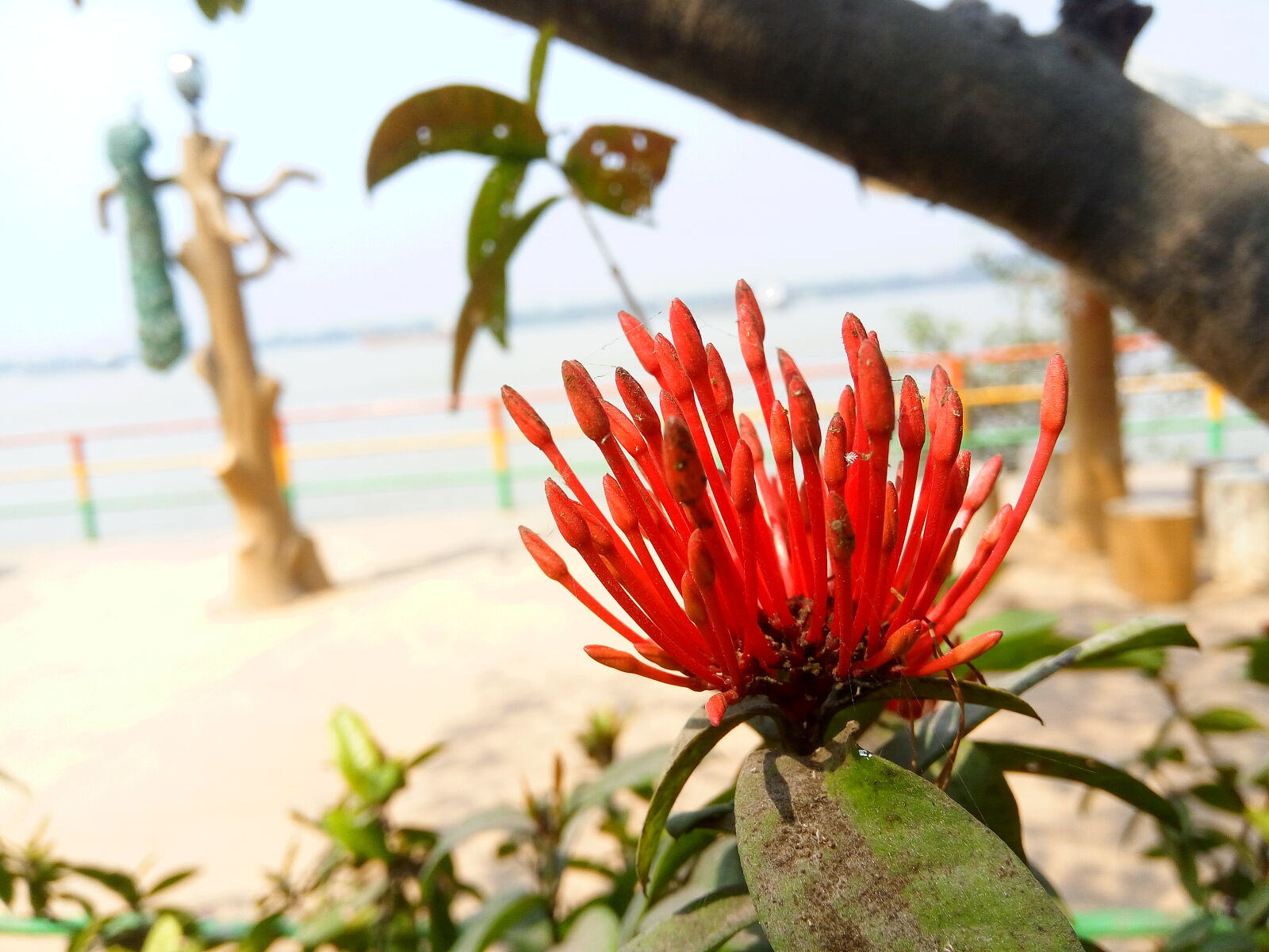 Lenovo VIBE X3 LITE sample photo