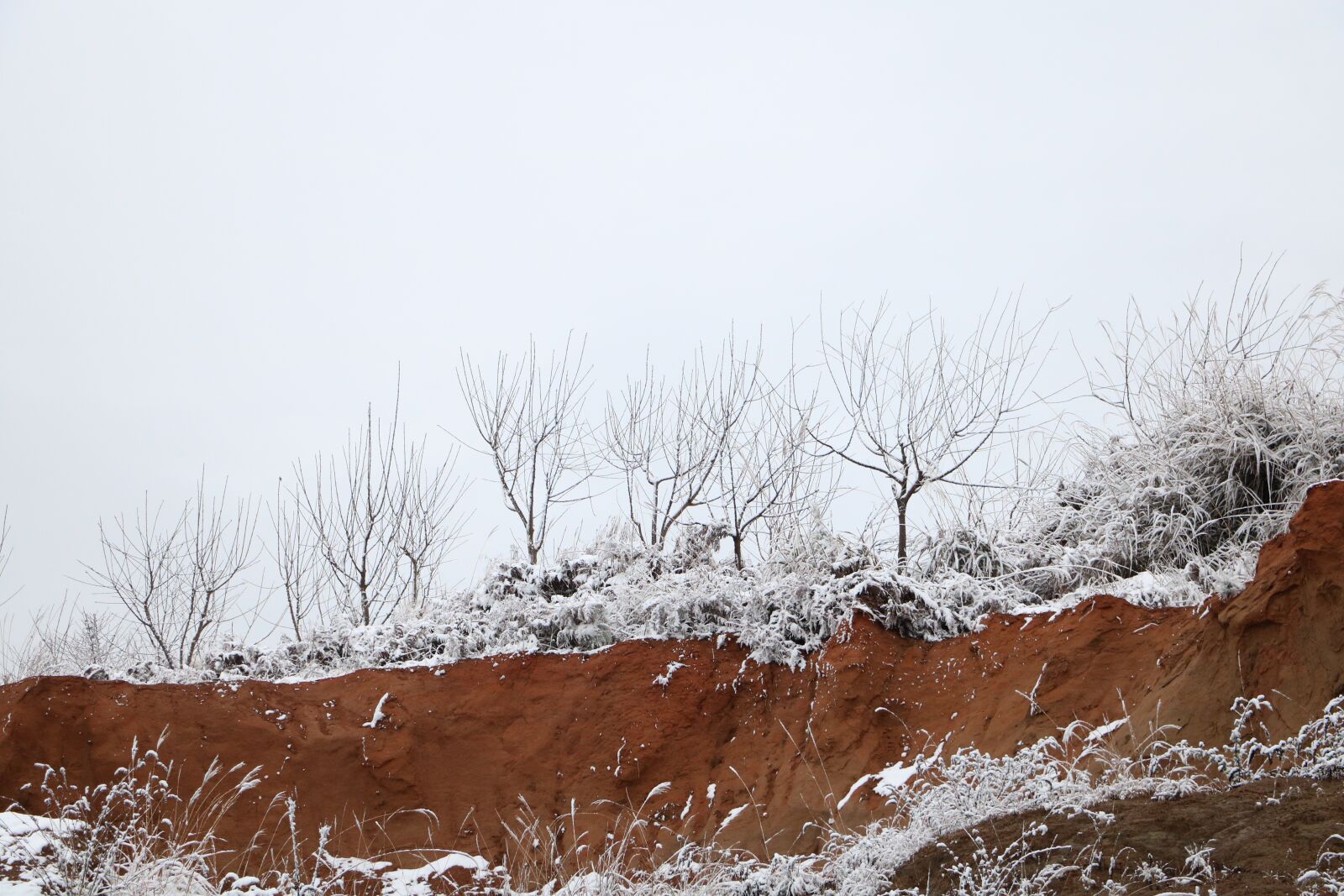 Canon EOS 760D (EOS Rebel T6s / EOS 8000D) + Canon EF-S 18-135mm F3.5-5.6 IS STM sample photo. Snow, winter, white photography