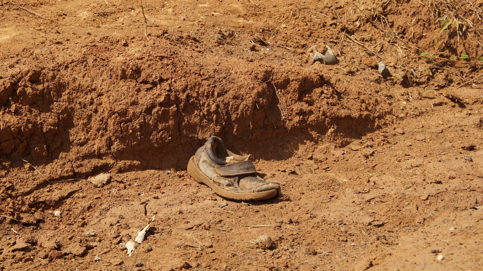 Sony SLT-A57 sample photo. Shoe, red earth, nature photography