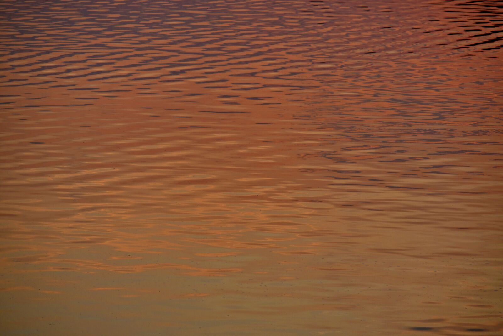 Nikon D5500 sample photo. Calm, horizon, horizontal, surface photography