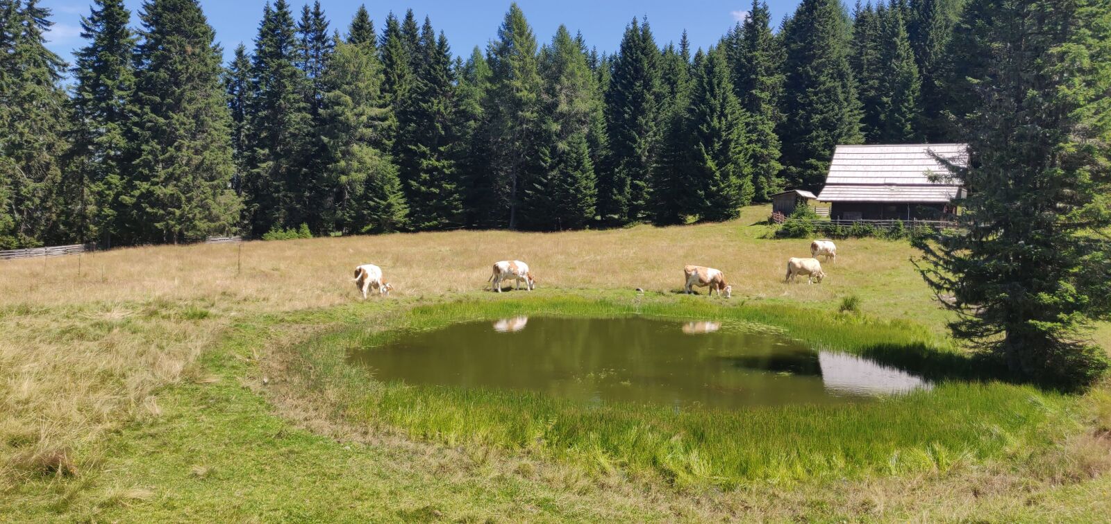 OnePlus 6 sample photo. Nature, mountains, barn photography