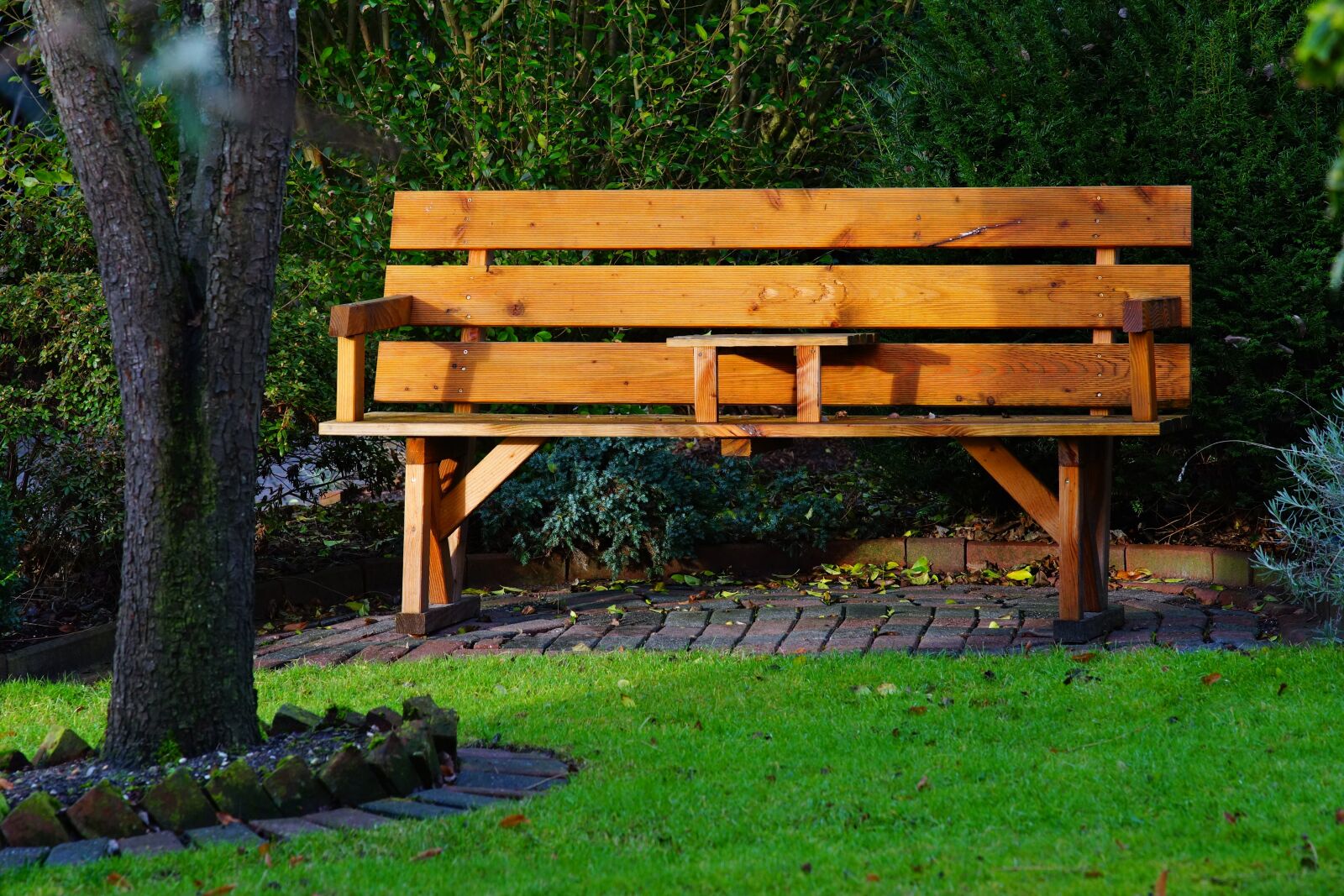 Sony a99 II sample photo. Garden, wooden bench, cozy photography