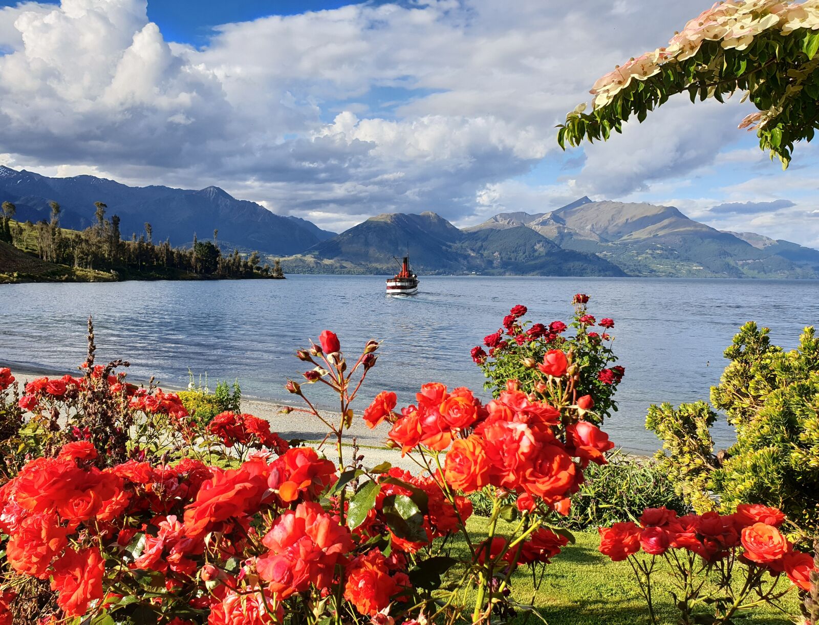 Samsung Galaxy Note9 sample photo. Lake wakatipu, tss earnslaw photography