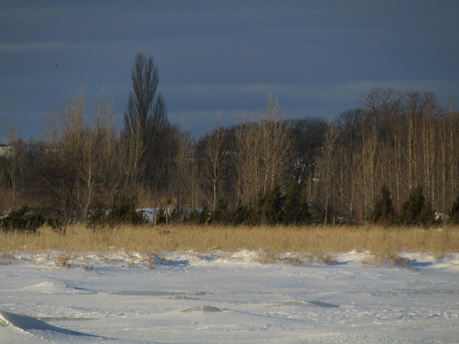 Canon PowerShot SX420 IS sample photo