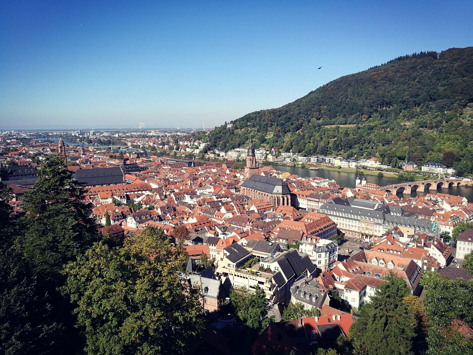 HUAWEI P9 sample photo. Heidelberg, neckar, city photography