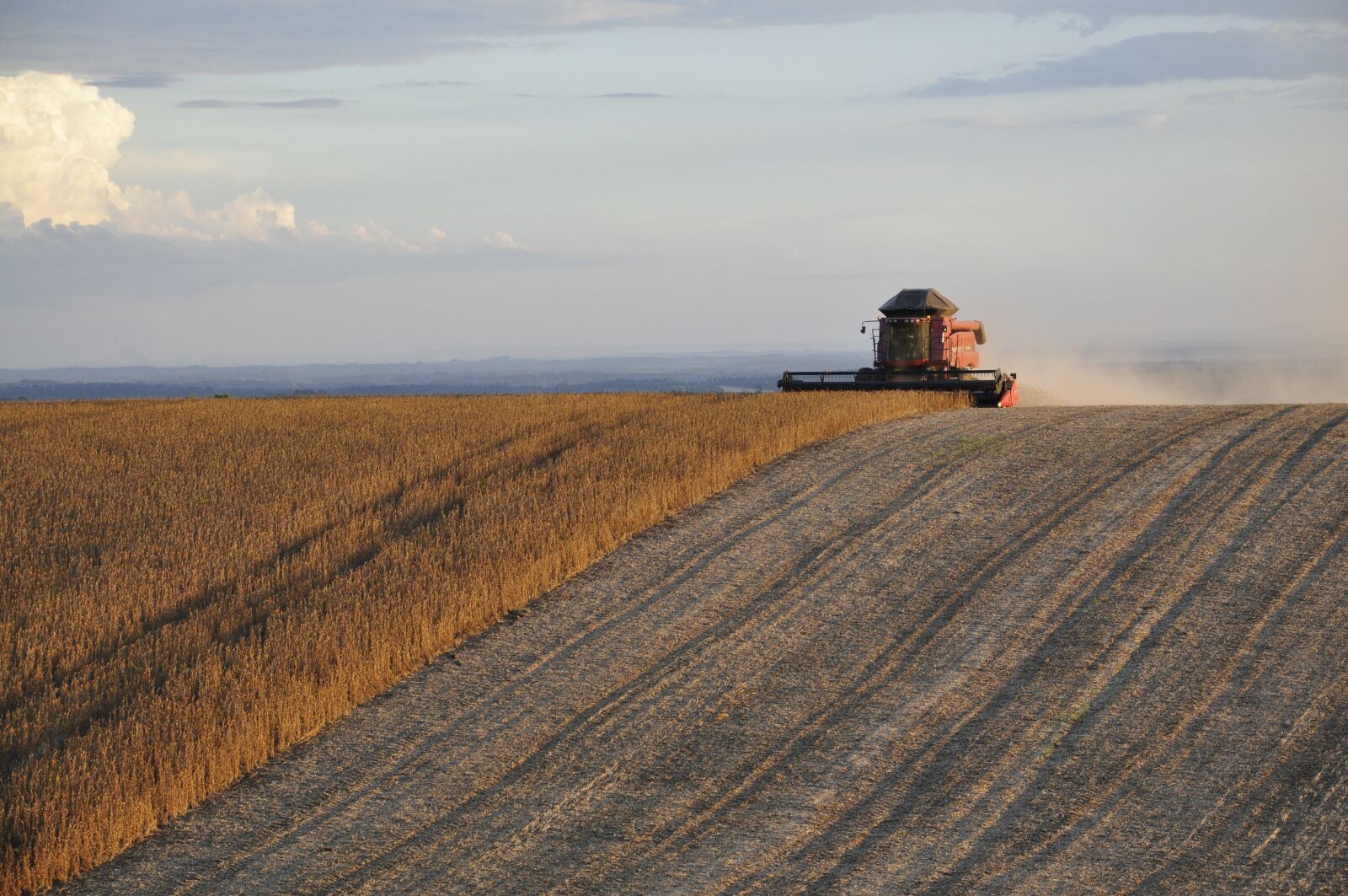 Nikon D5000 sample photo. Harvest, soybeans, plantation photography