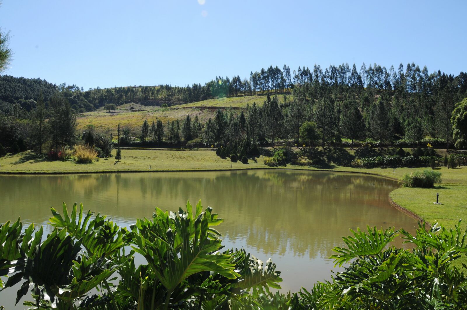 Nikon D300 sample photo. Nature, natural, paradise photography