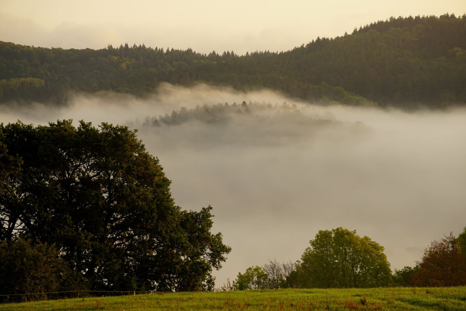 Sony E 55-210mm F4.5-6.3 OSS sample photo. Fog, landscape, nature photography