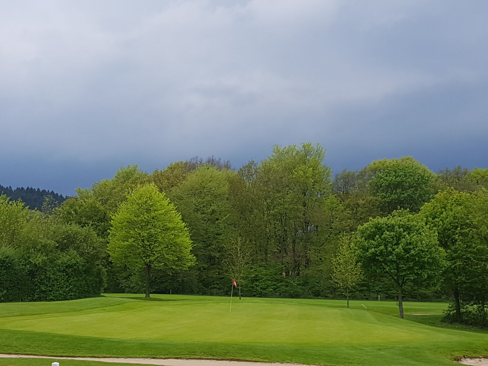 Samsung Galaxy S8+ sample photo. Golf, gctw, teutoburger, wald photography