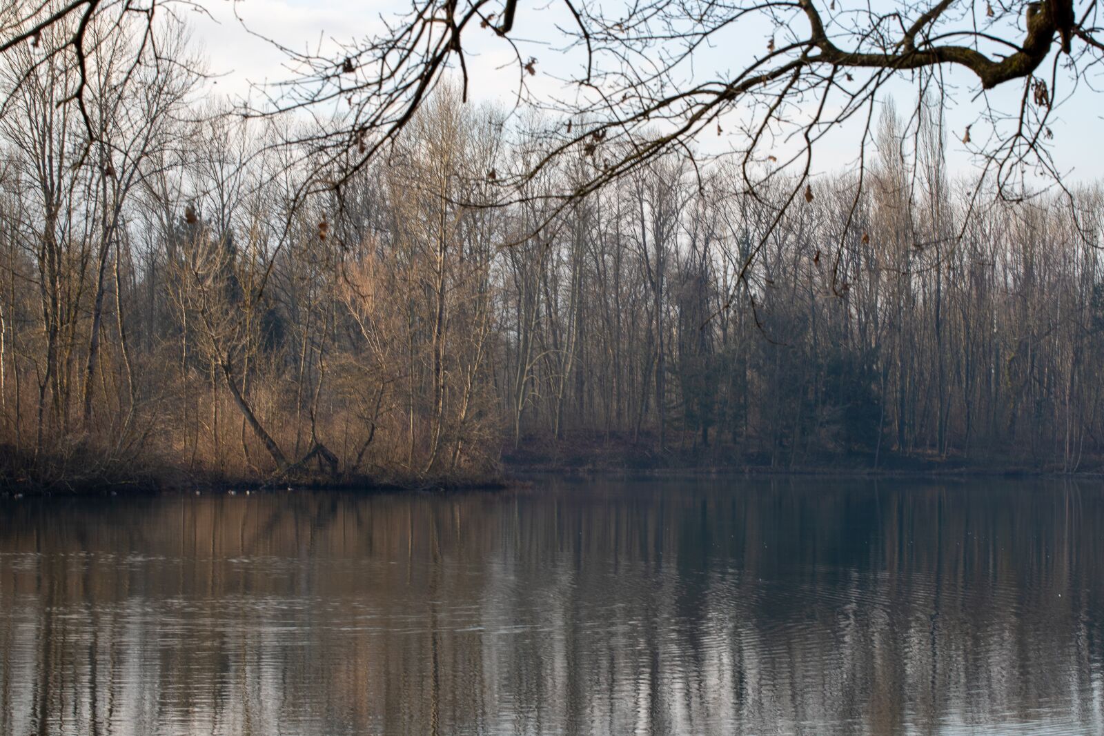 Canon EF 70-200mm F4L USM sample photo. Lake, savoie, tree photography