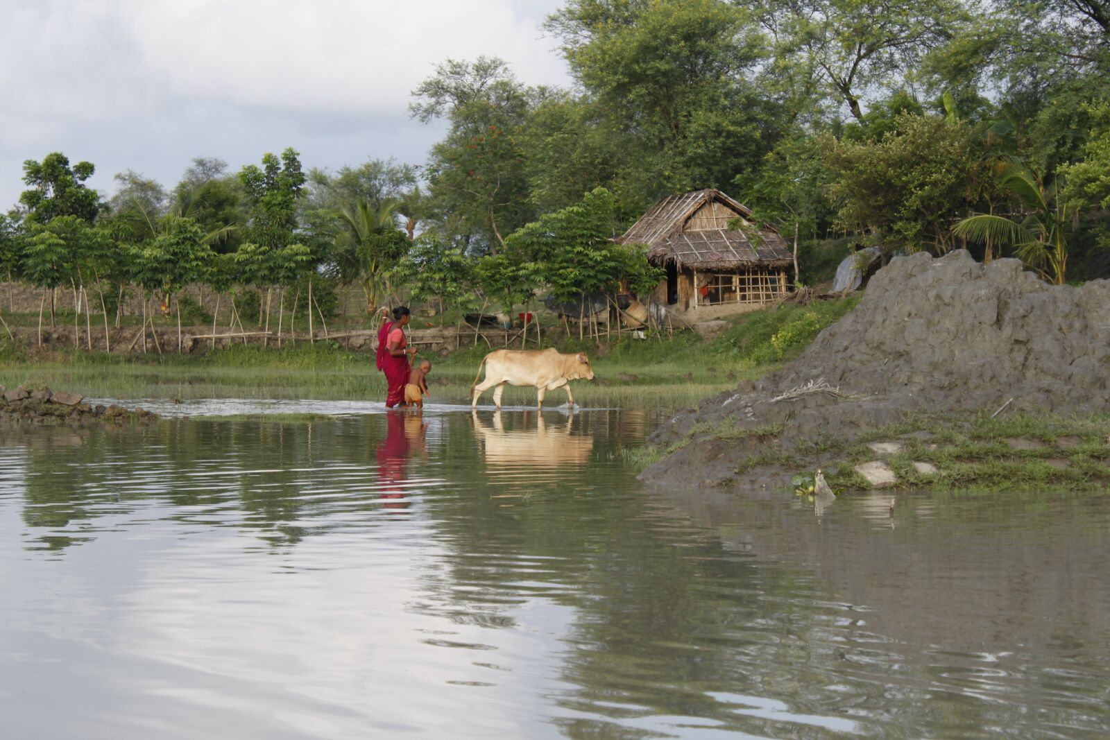 Canon EOS 500D (EOS Rebel T1i / EOS Kiss X3) sample photo. Bangladesh, canal, fisherman, flower photography