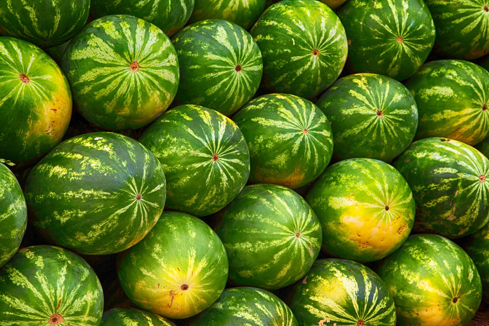 Canon EOS 5D Mark II sample photo. Melon, fruit, juicy photography