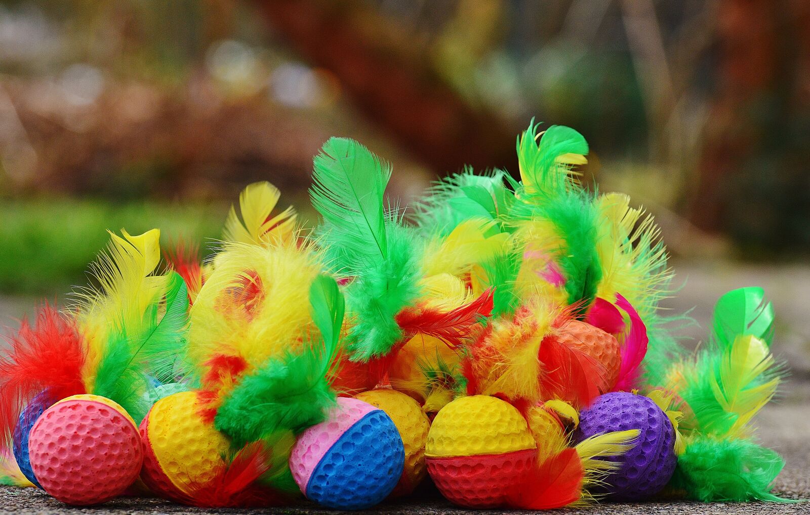 Nikon D3200 sample photo. Foam balls, feather, colorful photography