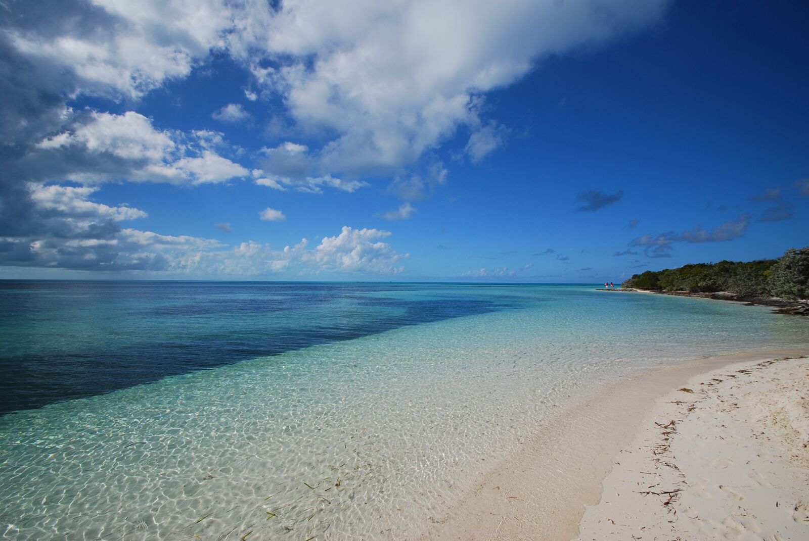 Nikon D40X sample photo. Caribbean, beach, blue water photography