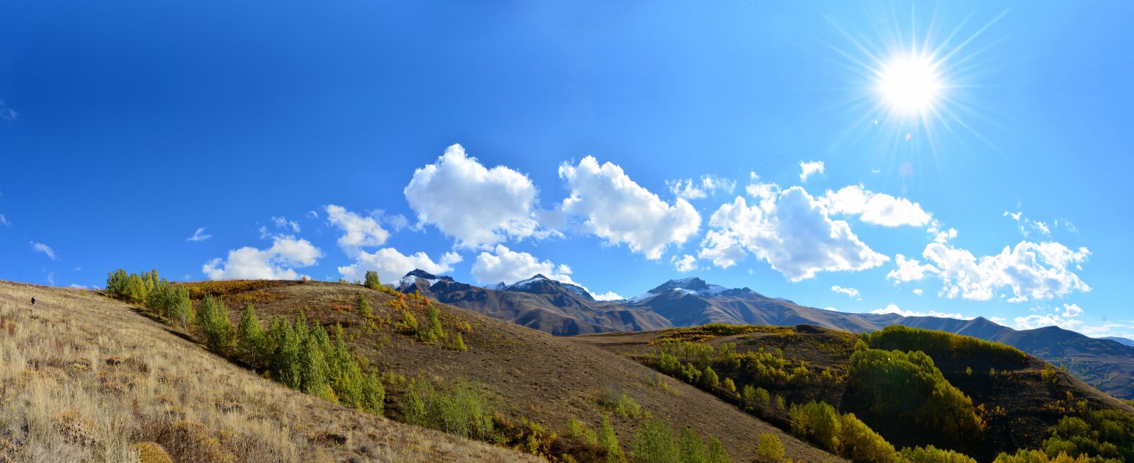 Nikon D7100 sample photo. Autumn, season, nature photography