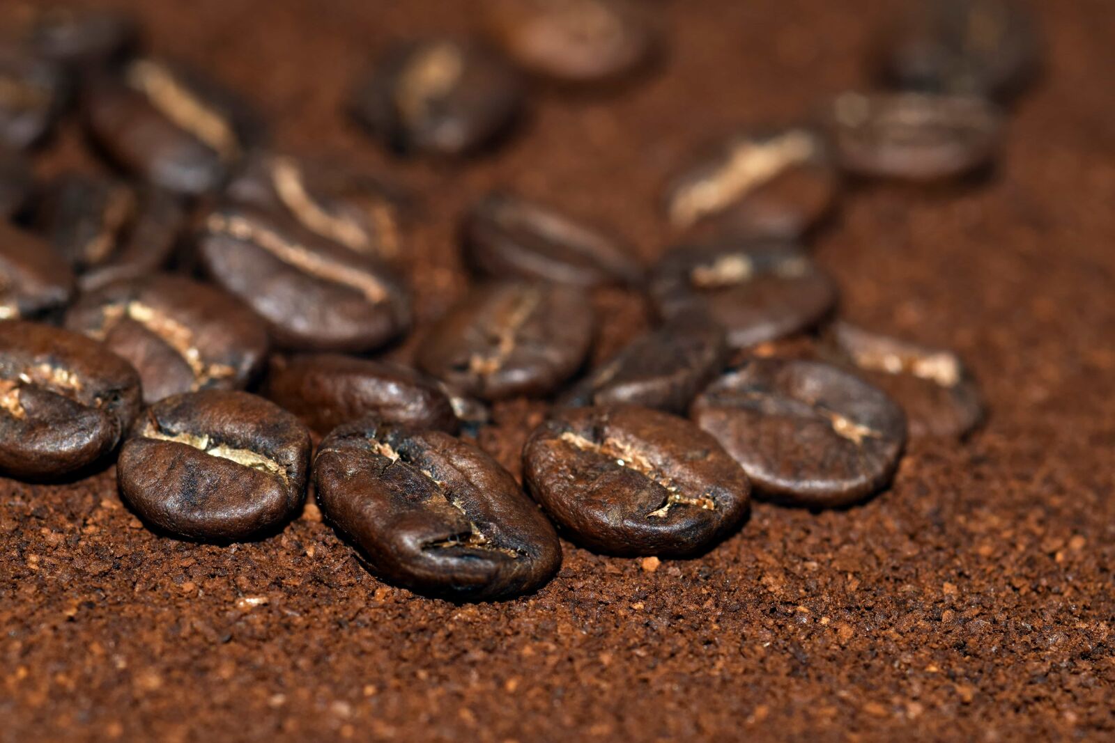 Nikon D3300 sample photo. Caffeine, drink, dark, coffee photography