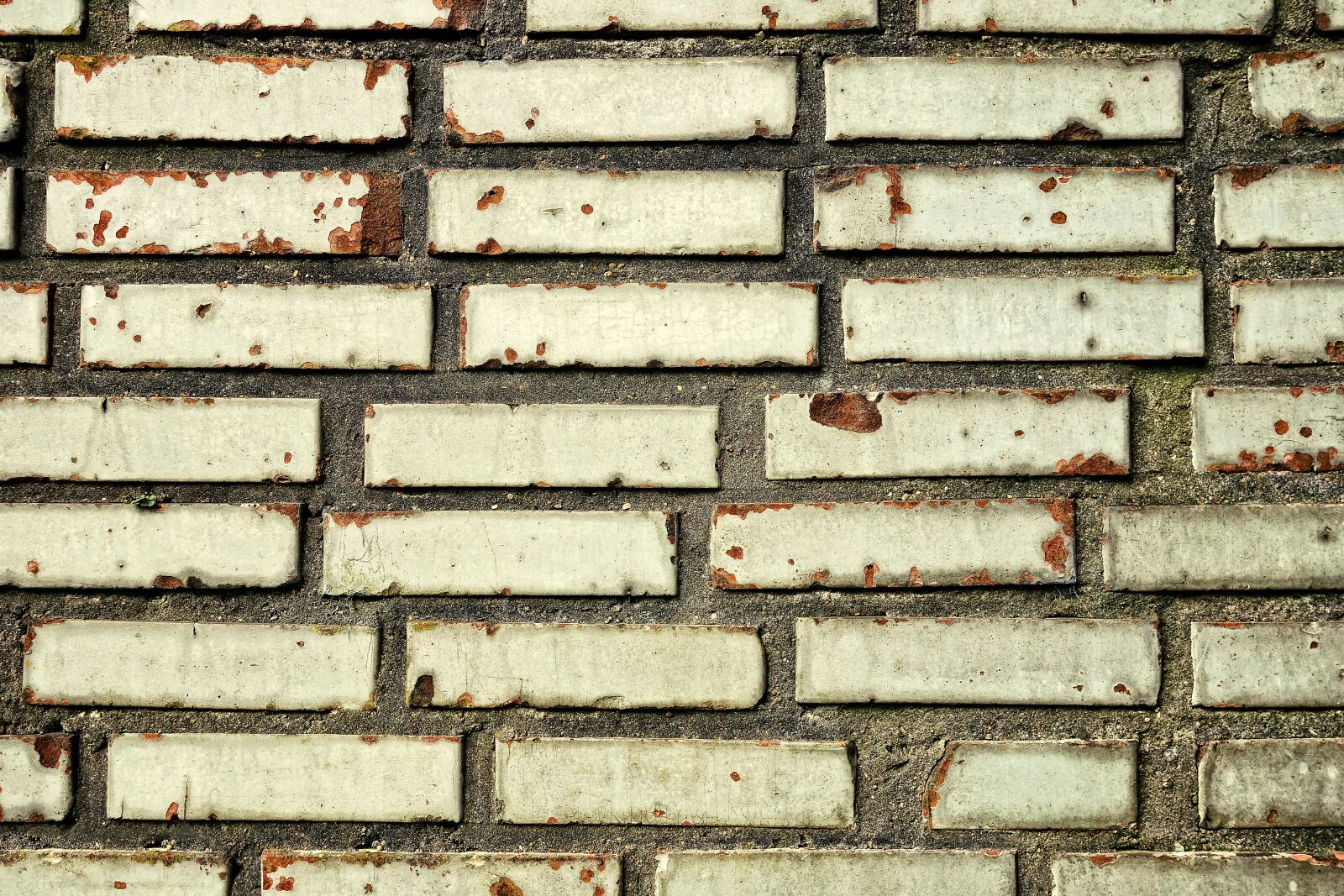 Sony Cyber-shot DSC-RX100 sample photo. Brick wall, wall, cream photography