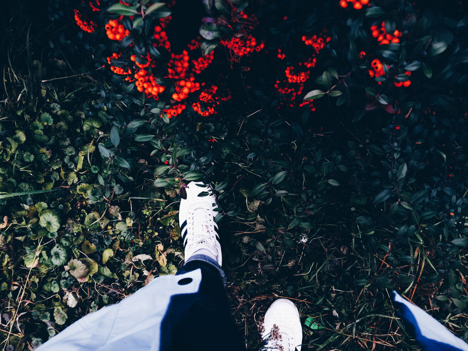 Samsung Galaxy S4 sample photo. Person, in, white, sneakers photography
