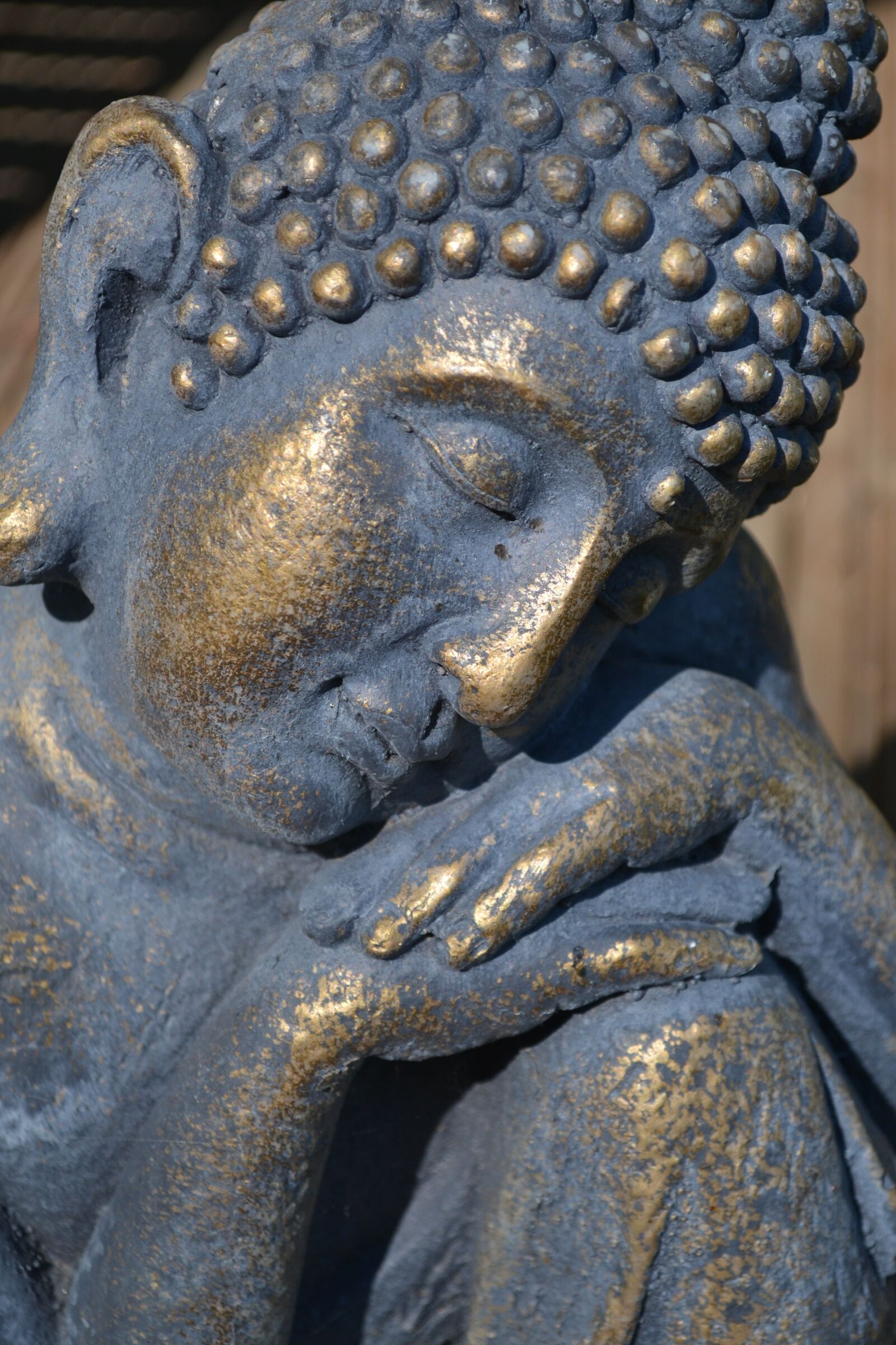 Nikon D3100 sample photo. Buddha, close up, meditation photography