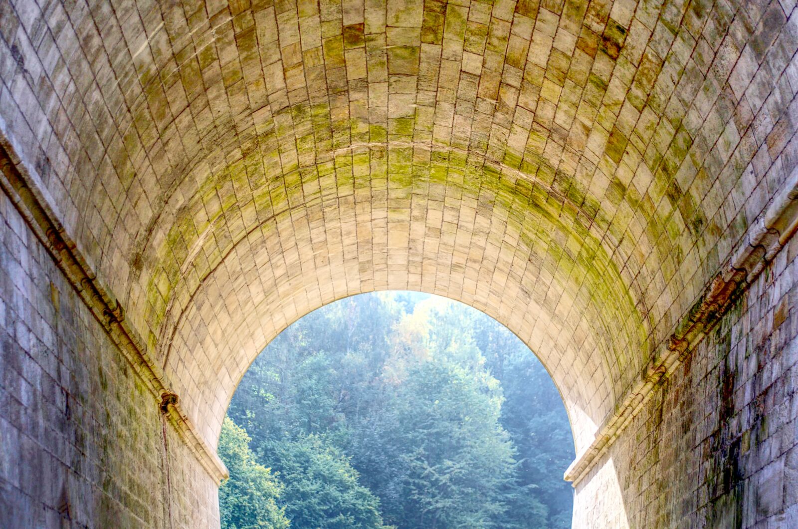 Nikon D5100 sample photo. Tunnel, nature, autumn photography
