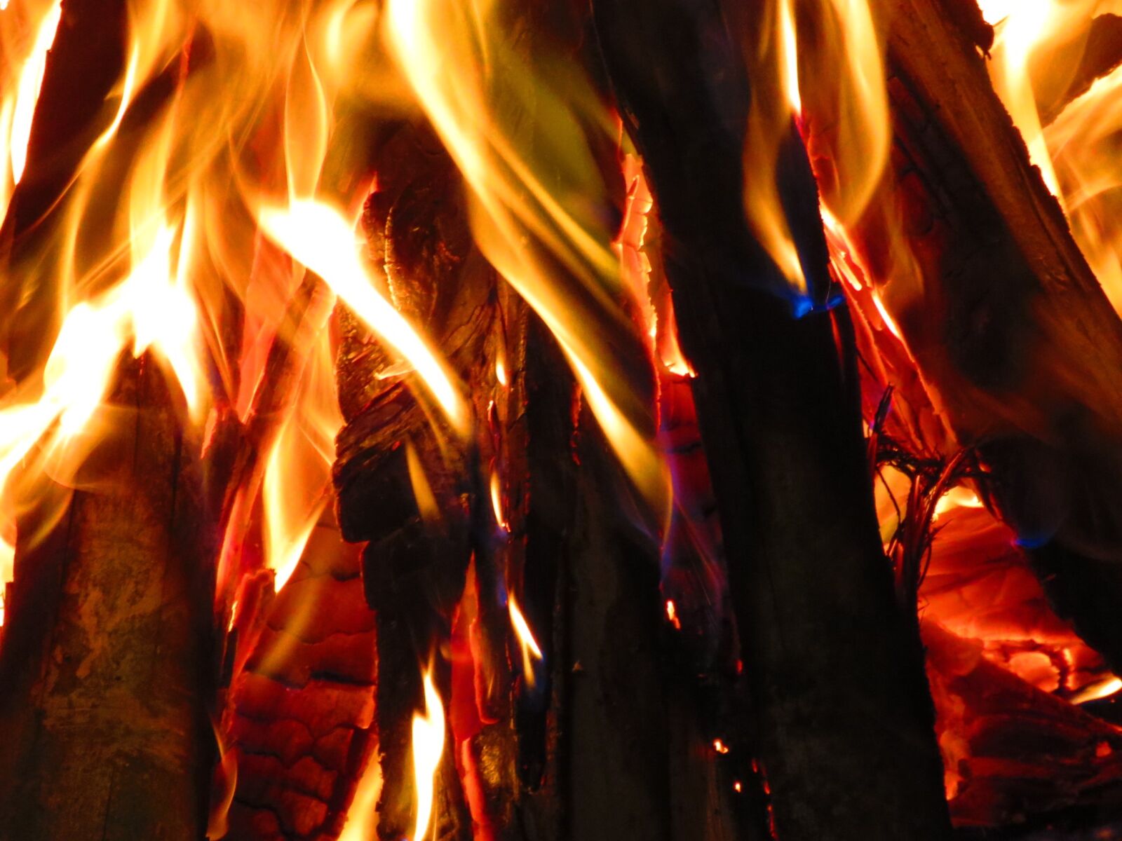 Canon PowerShot SX60 HS sample photo. Wood, fire, campfire photography