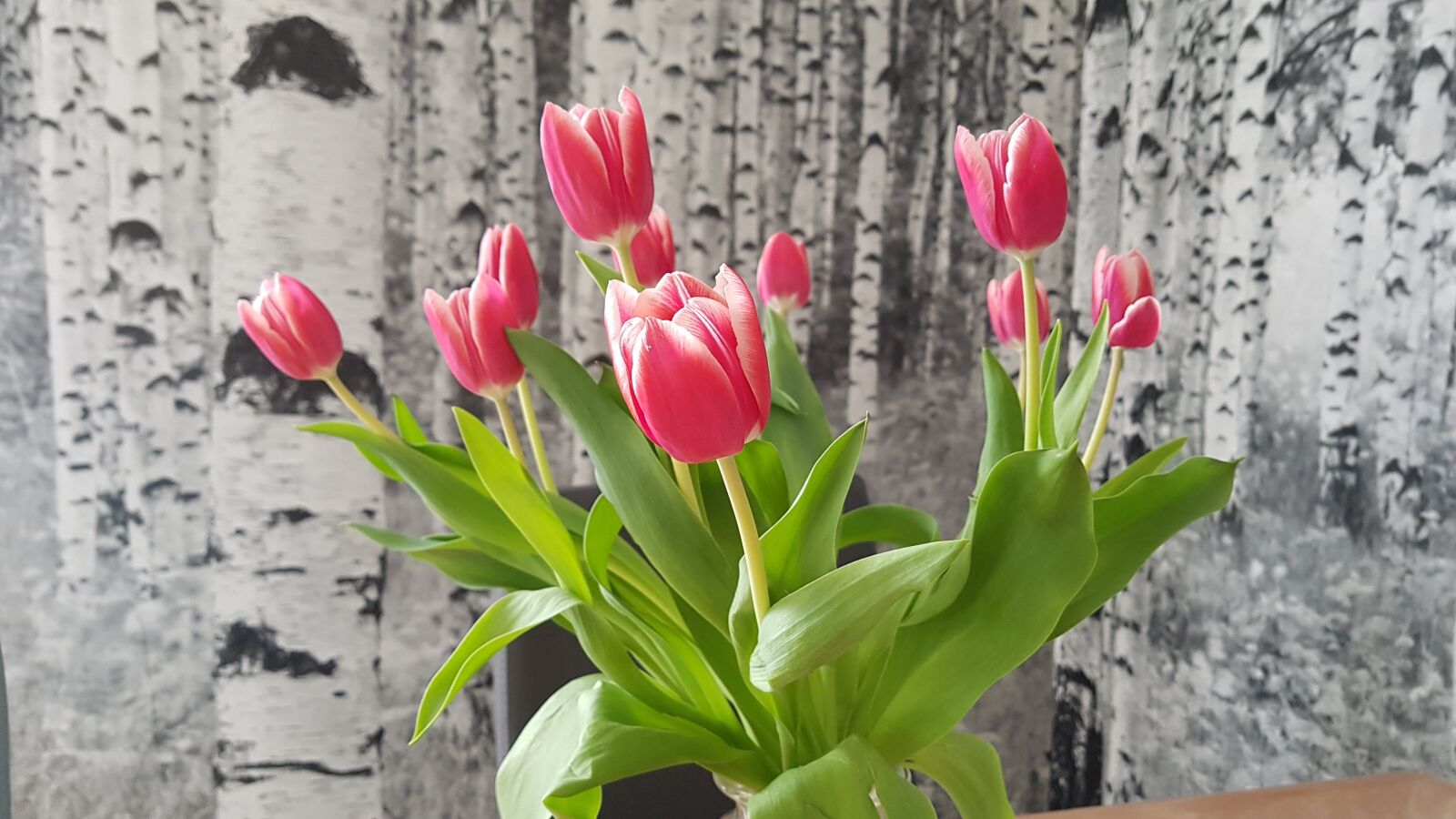Samsung Galaxy S7 sample photo. Tulips, bouquet, flowers photography