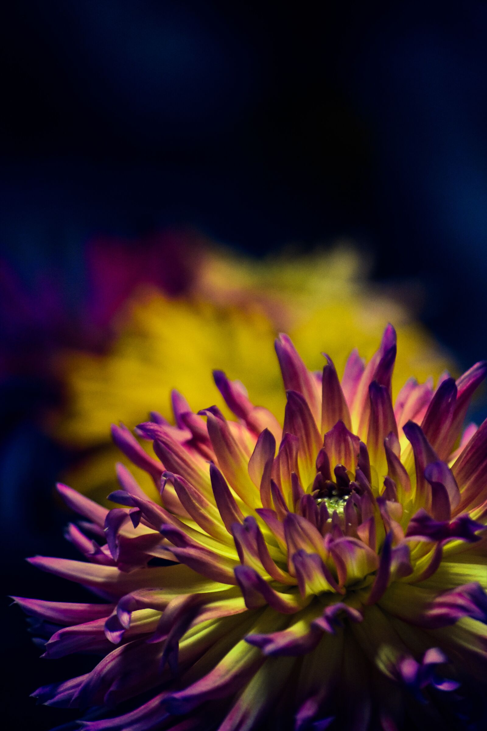 Nikon D3400 sample photo. Flow, color, crazy photography