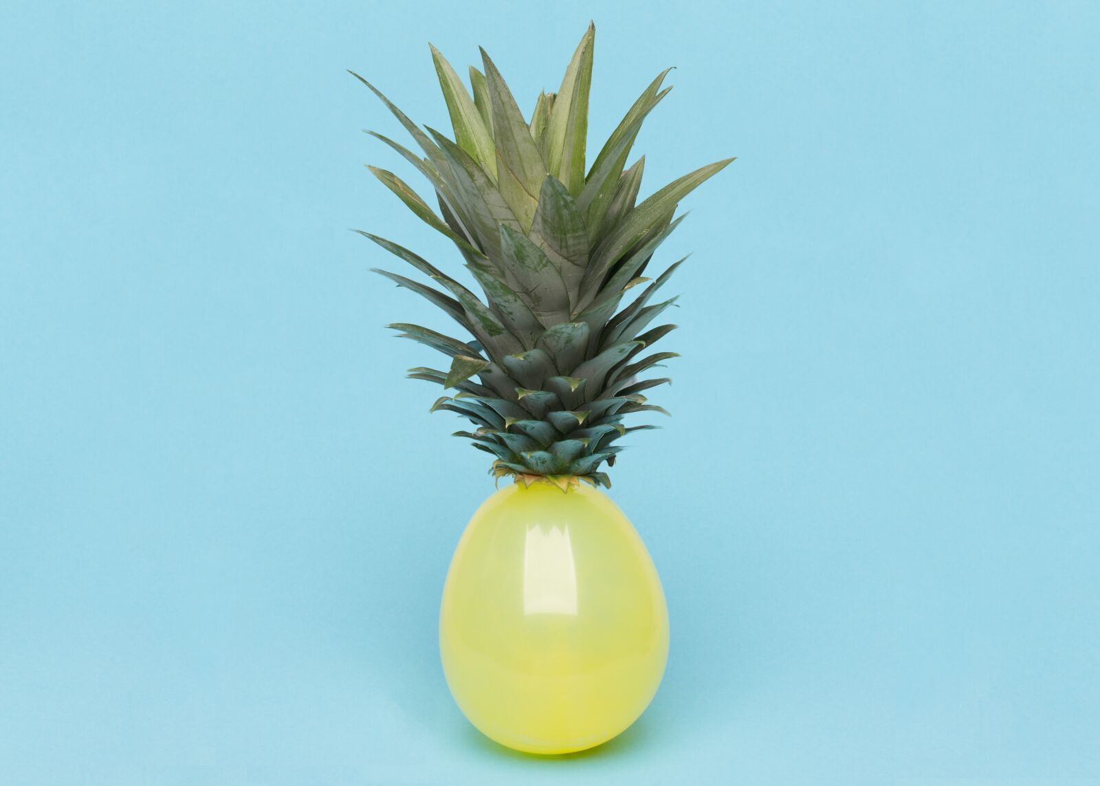 Nikon D7100 sample photo. Pineapple, second, nature photography