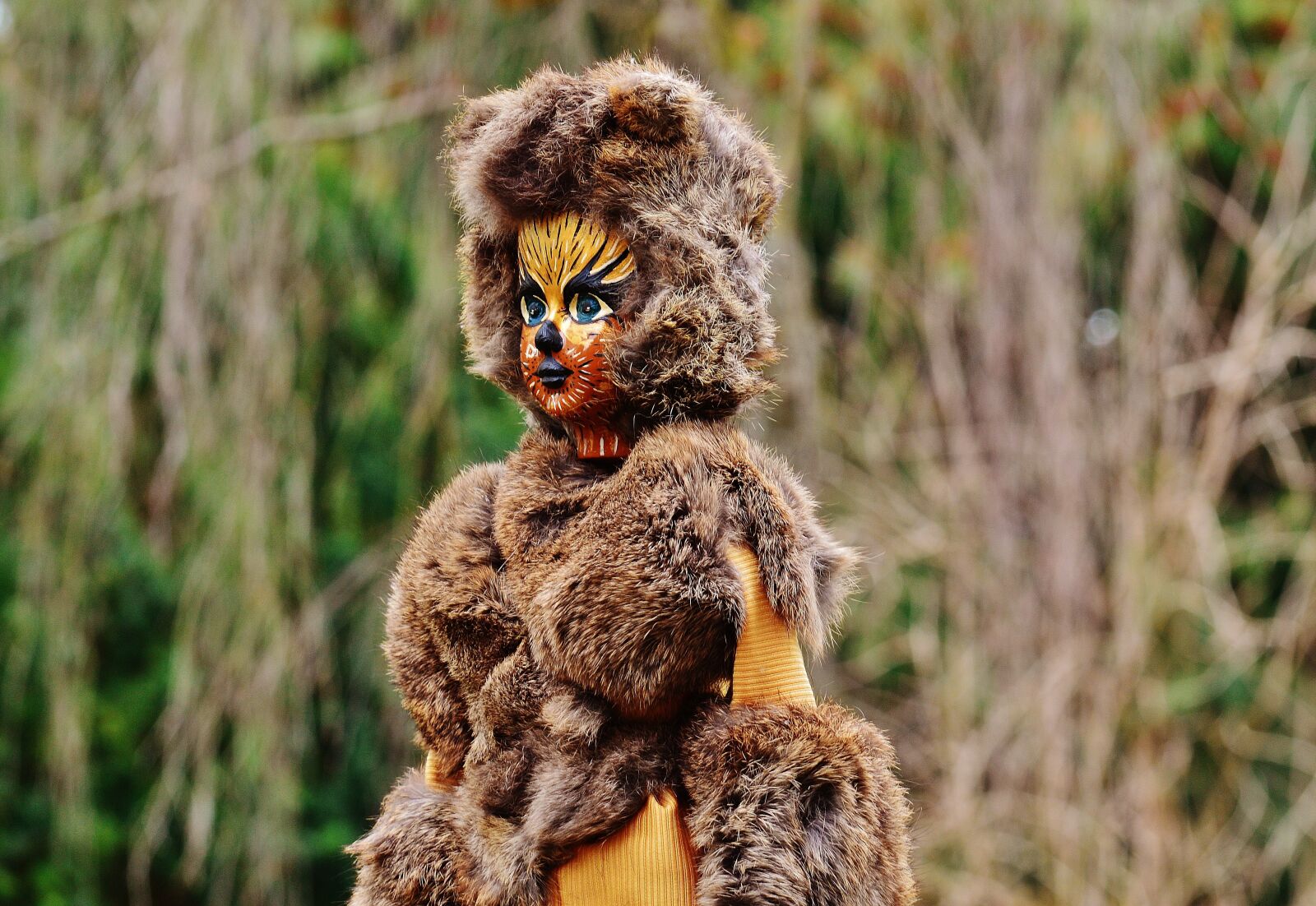 Nikon D3200 sample photo. Doll, cat, painting photography