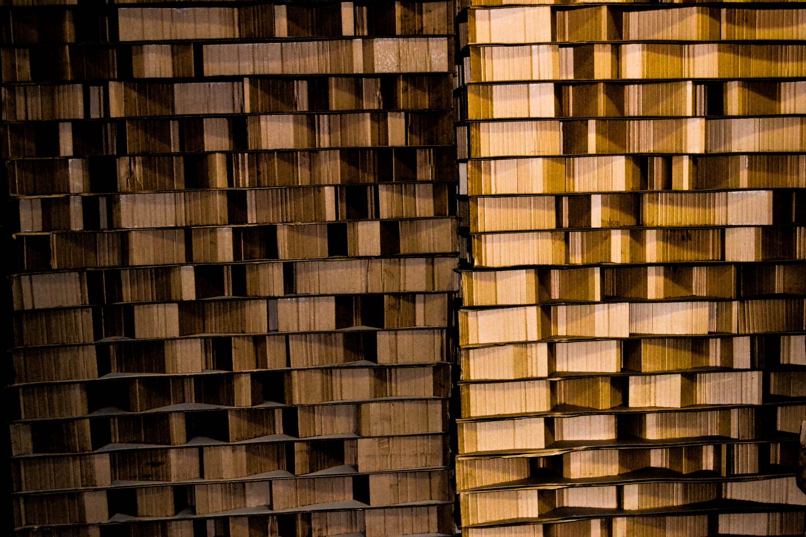 Nikon D3100 sample photo. Boxes, cardboard, cardboard box photography