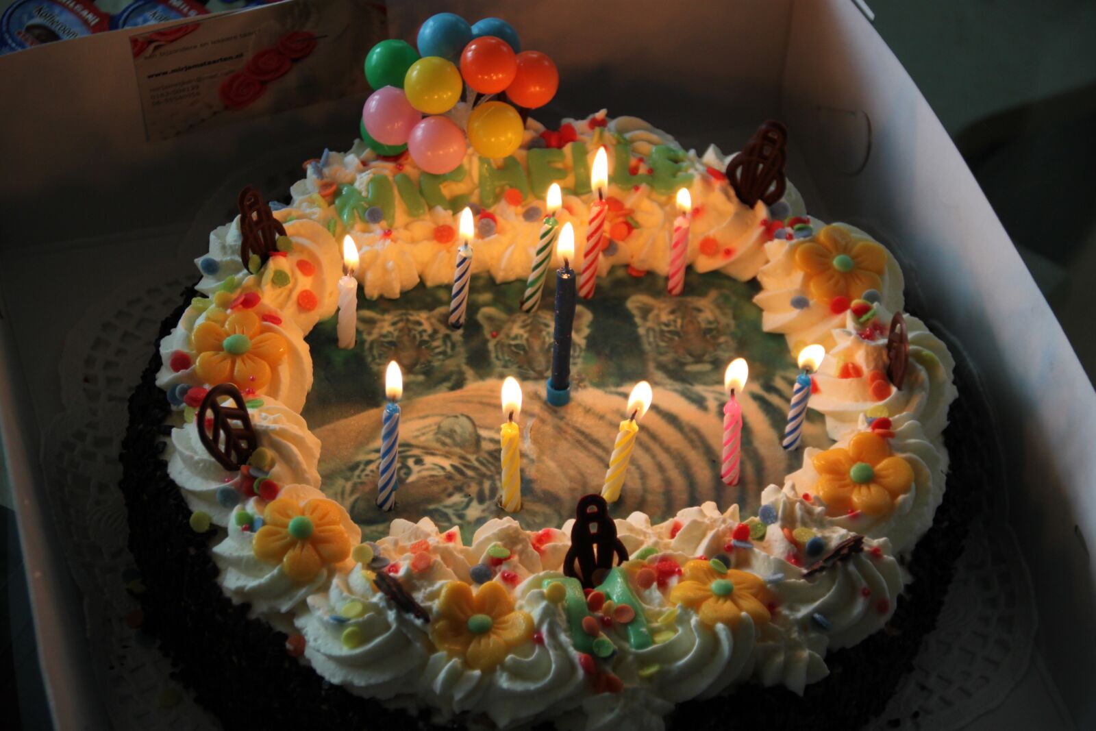 Canon EOS 500D (EOS Rebel T1i / EOS Kiss X3) sample photo. Party, happy, balloons photography